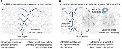 Building Blocks for the Development of a Self-Consistent Electromagnetic Field Theory of Consciousness